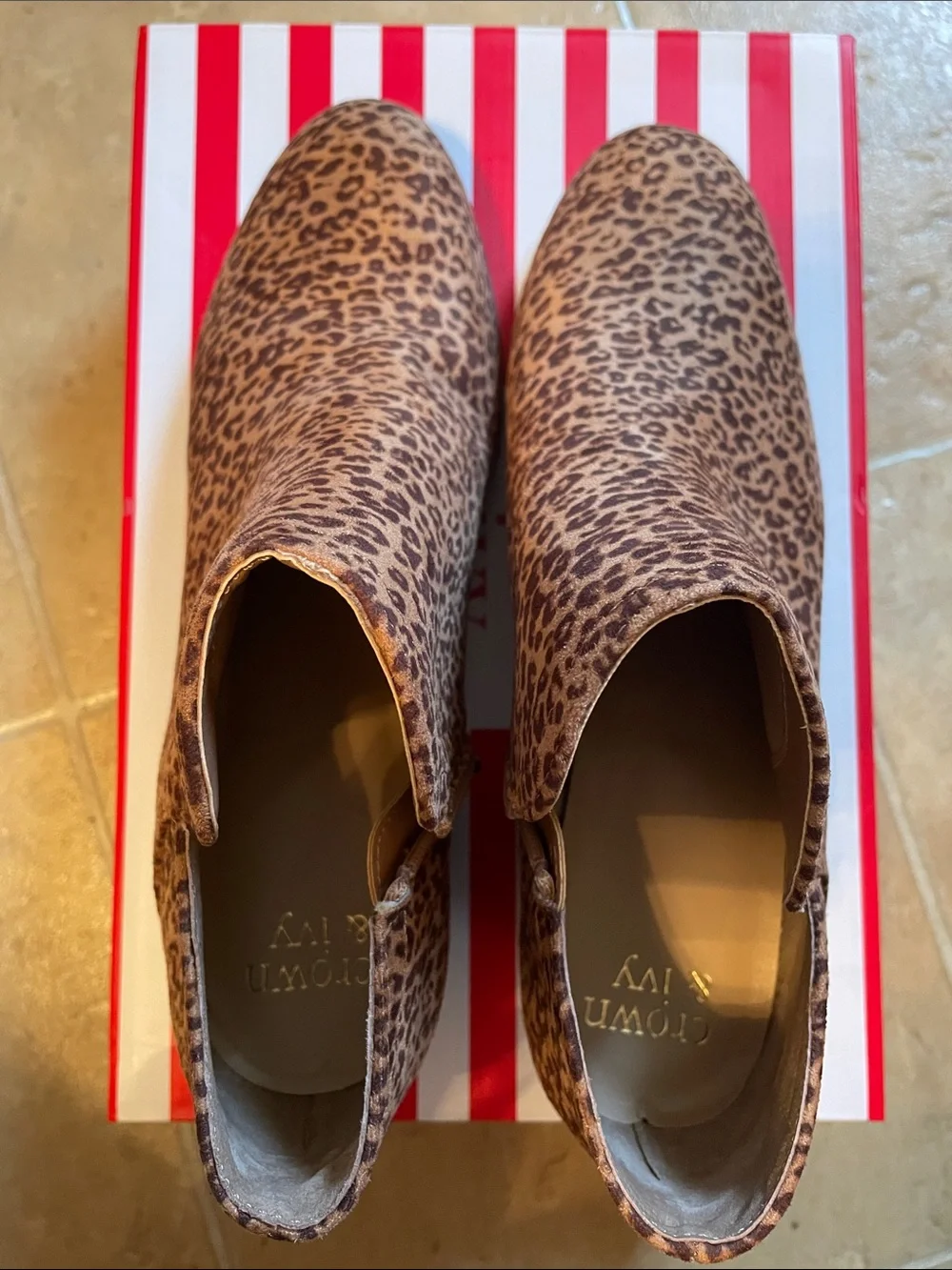 crown & ivy Leopard-Print Ankle Booties in Brown and Black